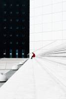 Mei CHOLET - MSC